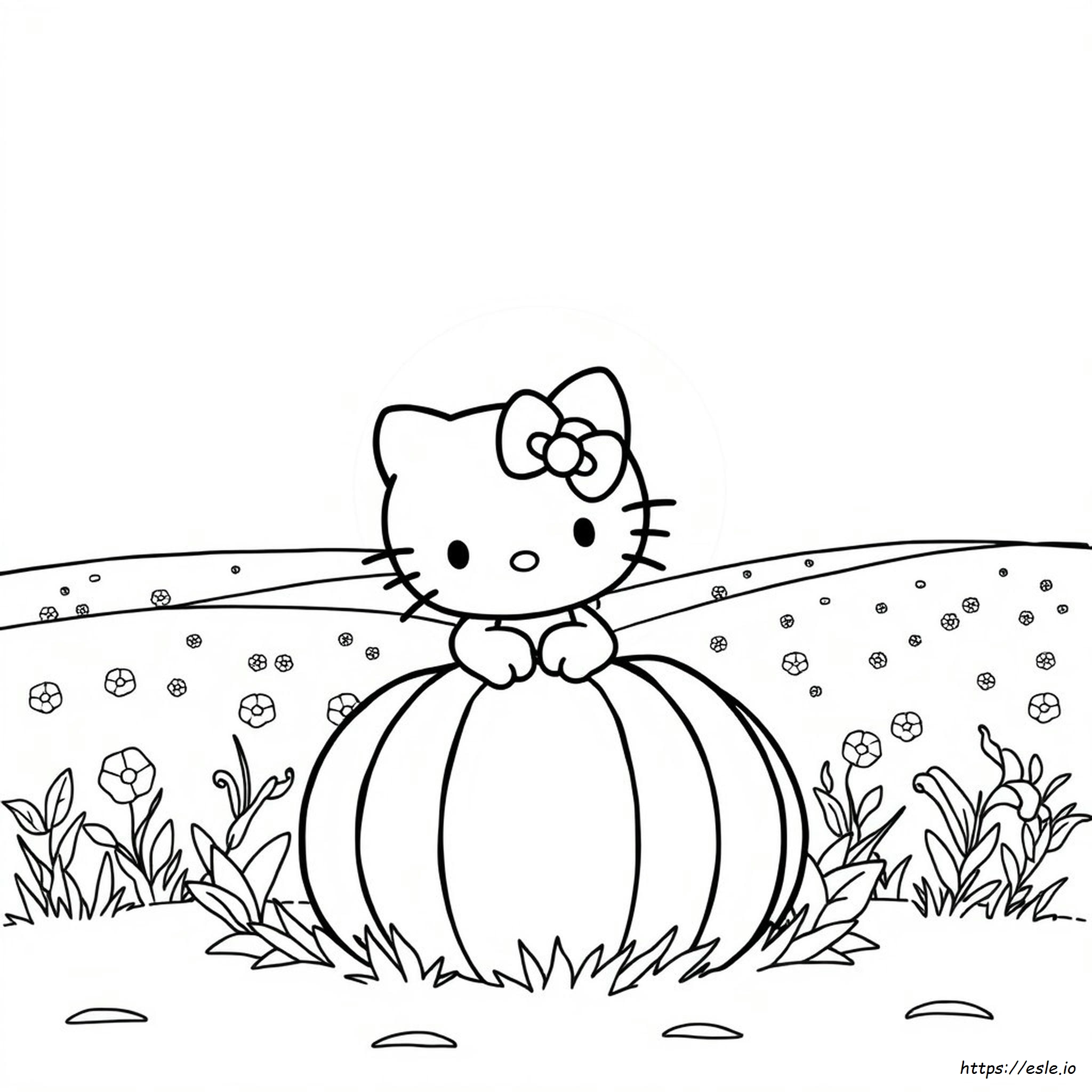 Hello Kitty Zucca Da Colorare