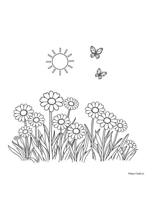 Página Para Colorear Promesa Daisy