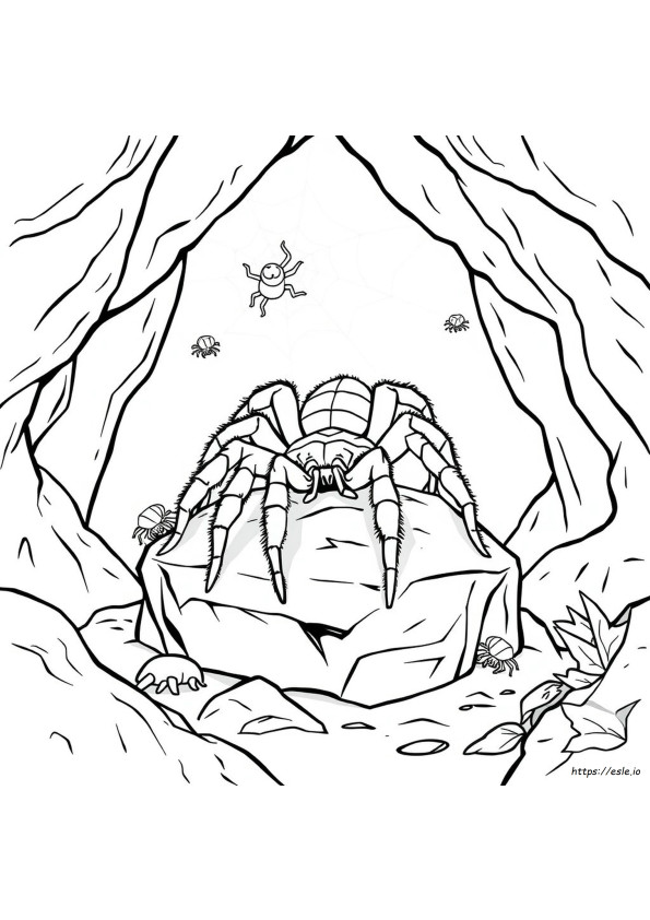 Tarantula Kleurplaat