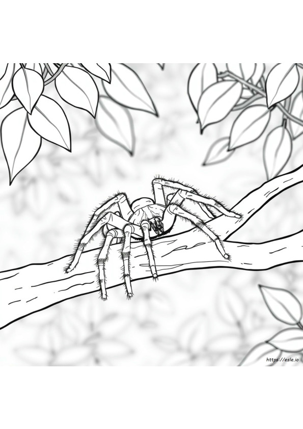 Can Tarantulas See Color