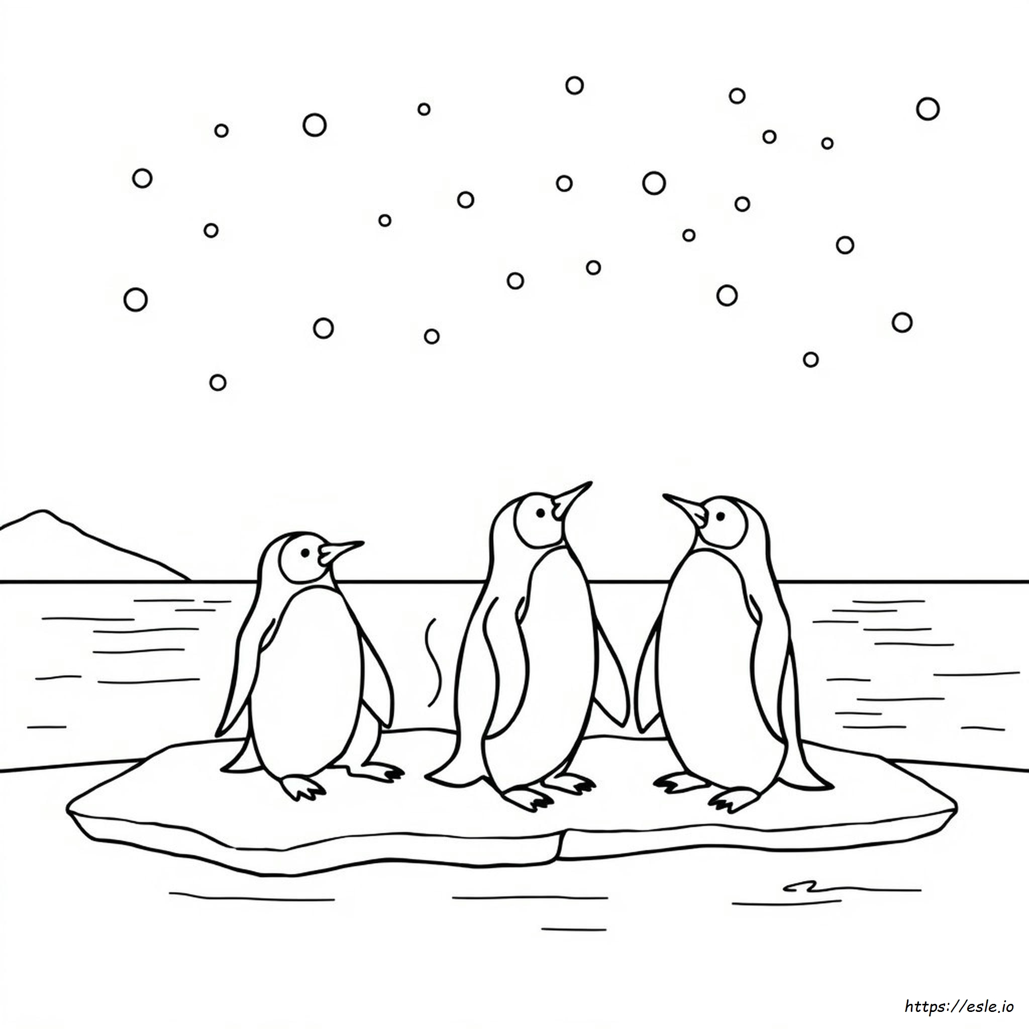 Pinguine Ausmalbilder Zum Ausdrucken