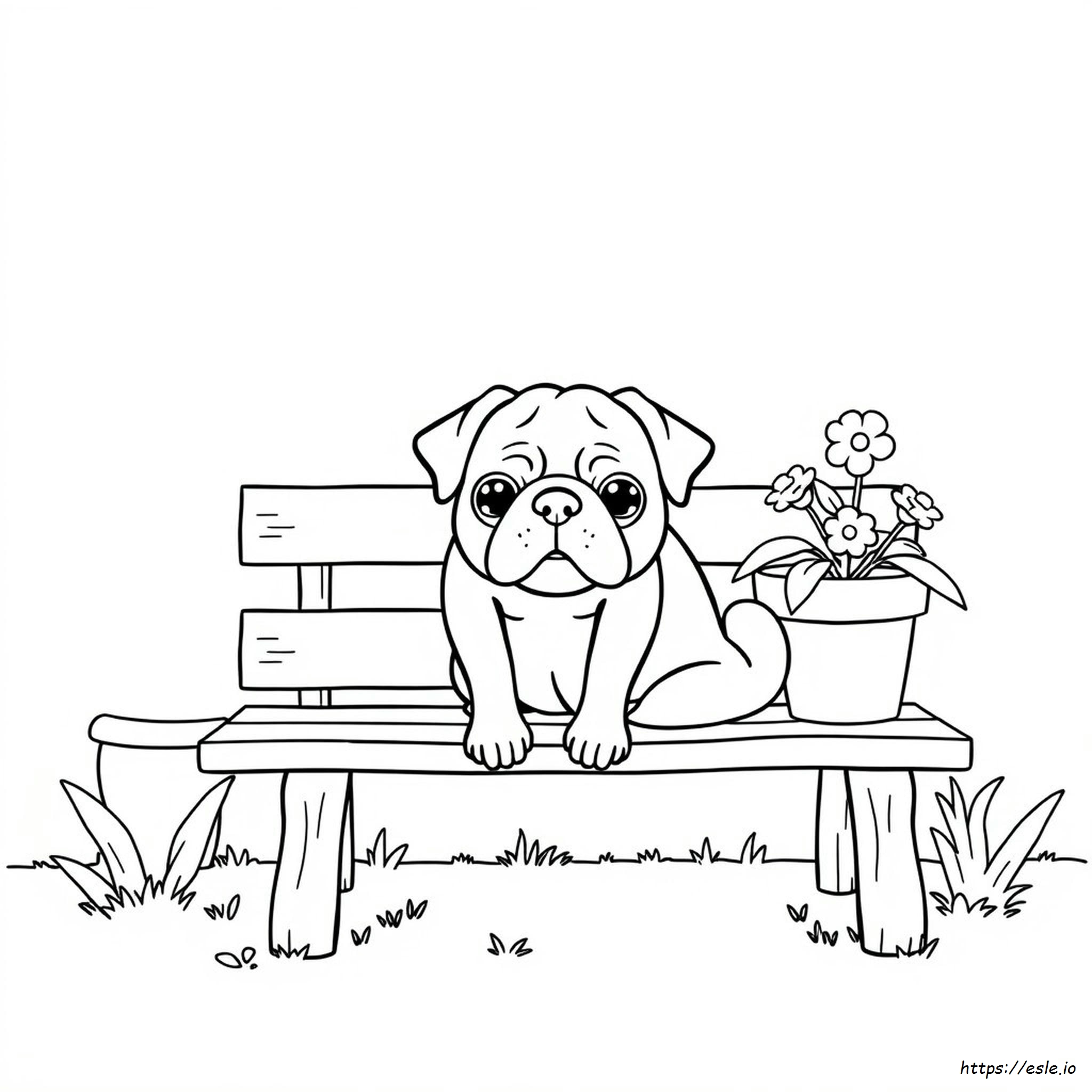 Pug Coloring Pictures
