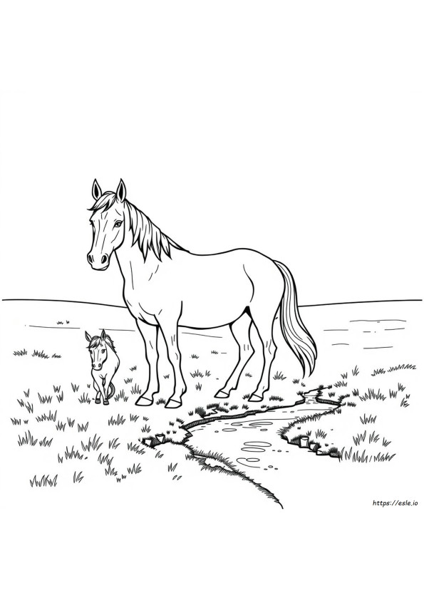 Realistic Horse Coloring Pages For Adults