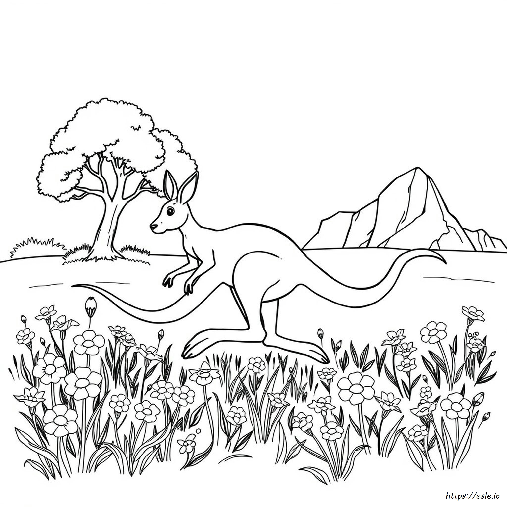Kangaroo Coloring Pictures