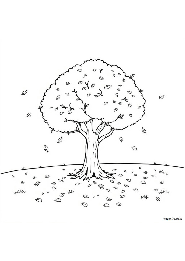 Tree With Falling Leaves Coloring Page