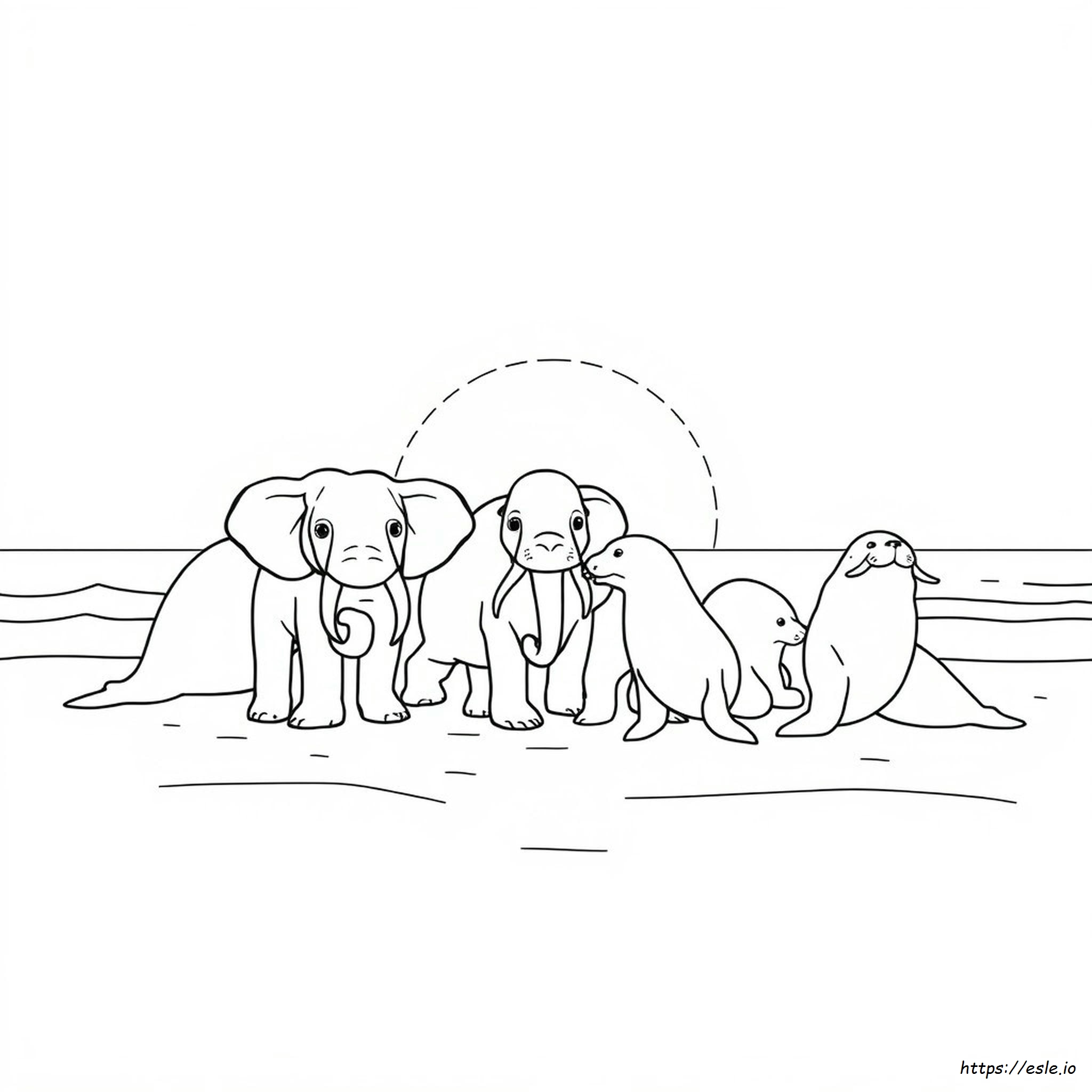 Elephant Seal Coloring Page