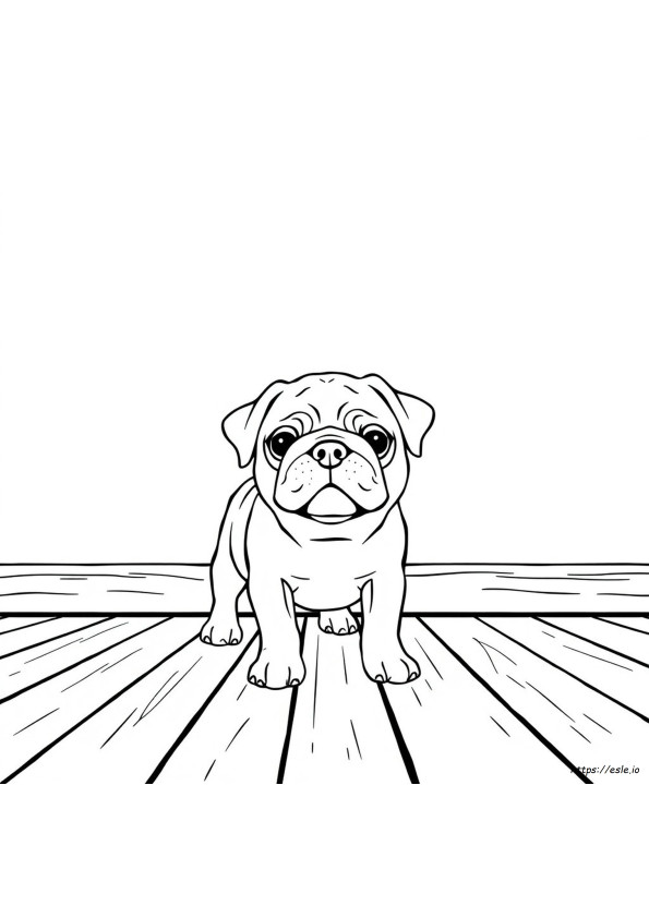 Pug Puppy Coloring Pages