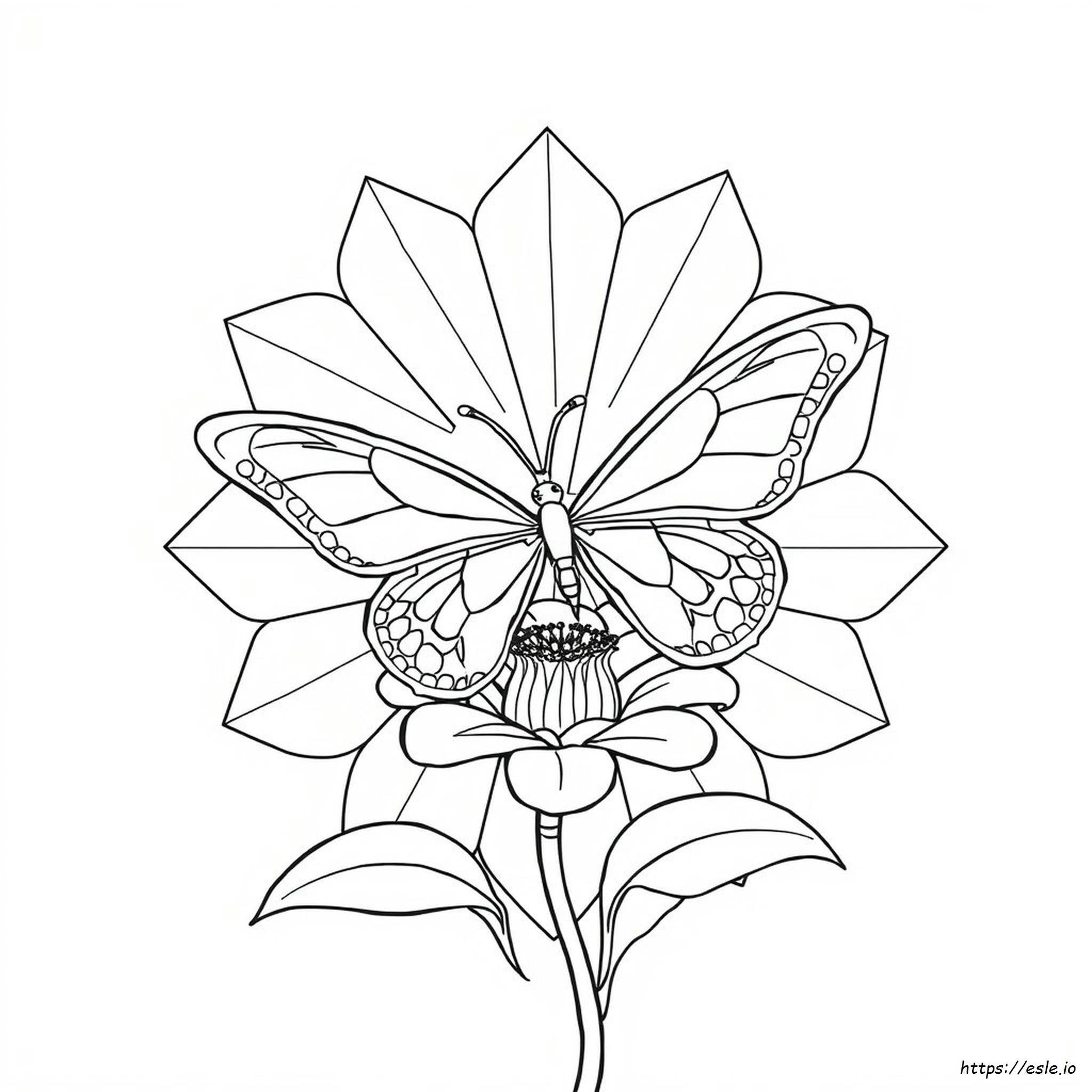 Desenhos De Borboletas 3D Para Colorir