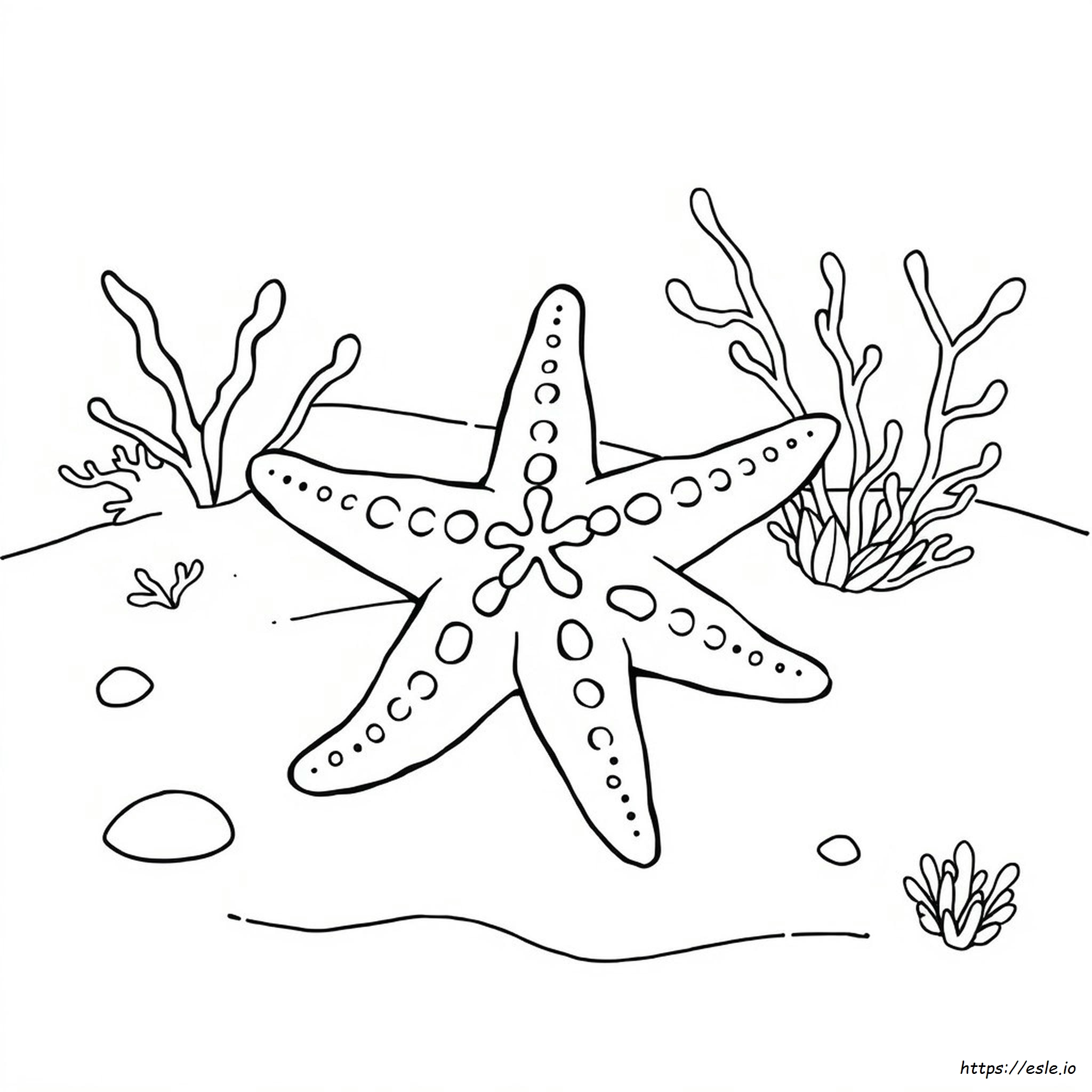 Star Fish Colouring Images