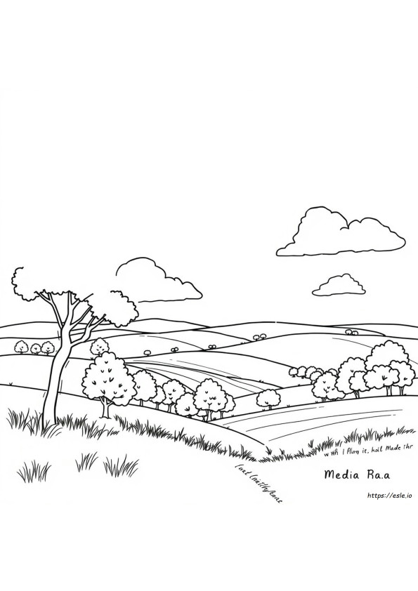 Peisaje De Colorat
