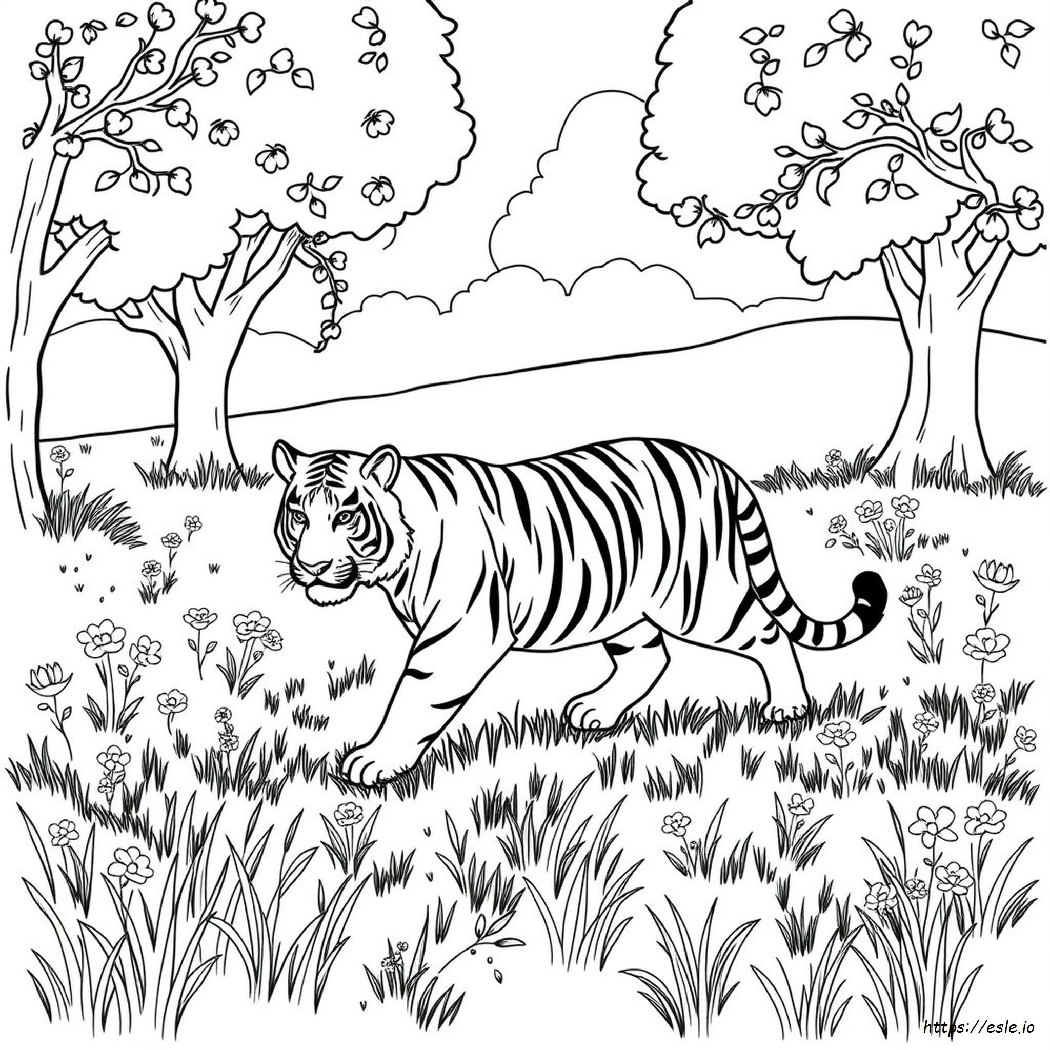 Tiger Colouring In Pages