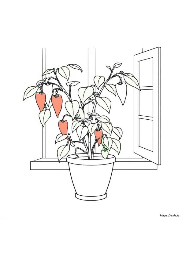 A Paprika Szinei Magyarázata