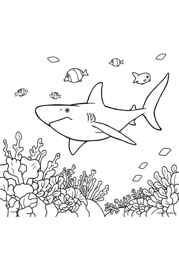 Shark Coloring Pages To Print