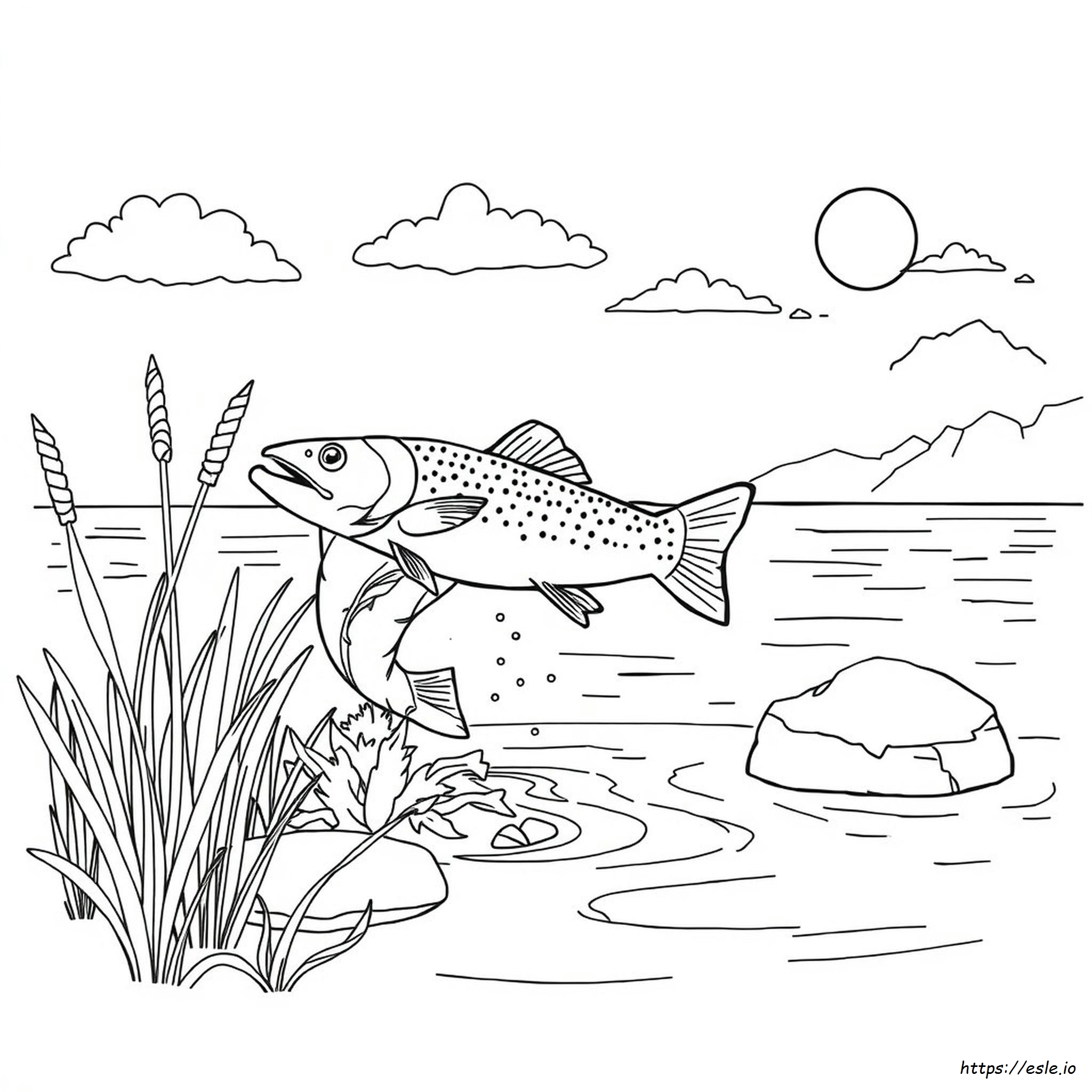 Trout Fish Coloring Pages