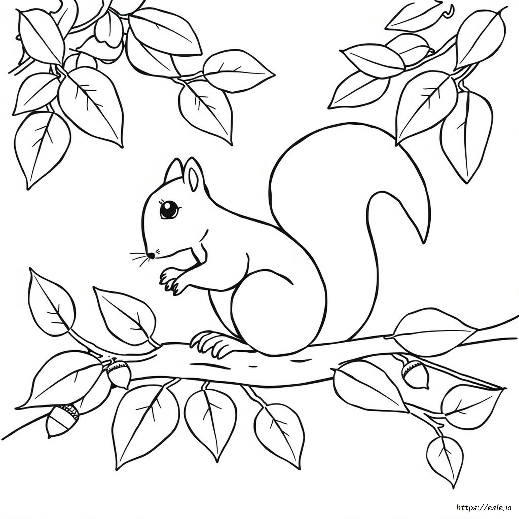 Free Squirrel Coloring Pages