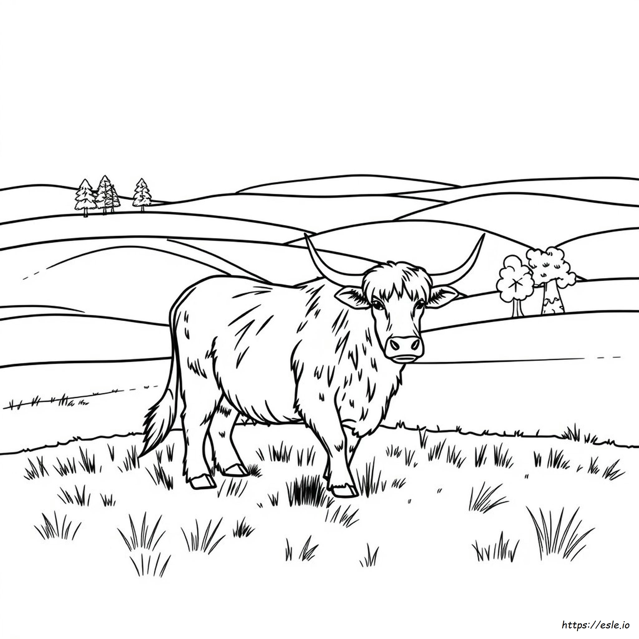 Printable Highland Cow Coloring Pages For Adults