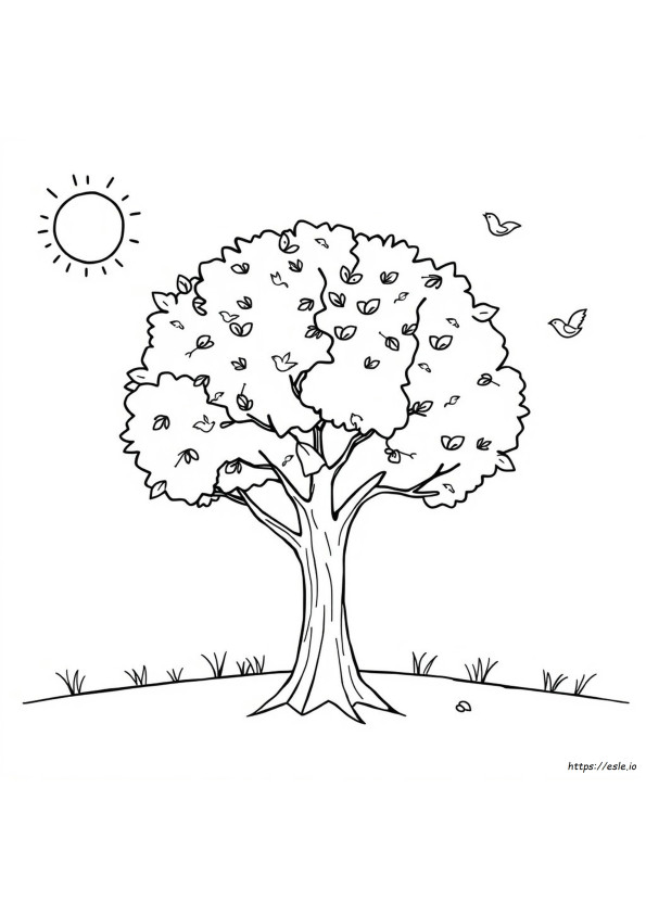 Seasons Coloring Pages For Kindergarten