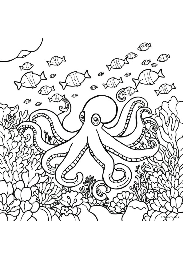 Octopus Colors Meaning