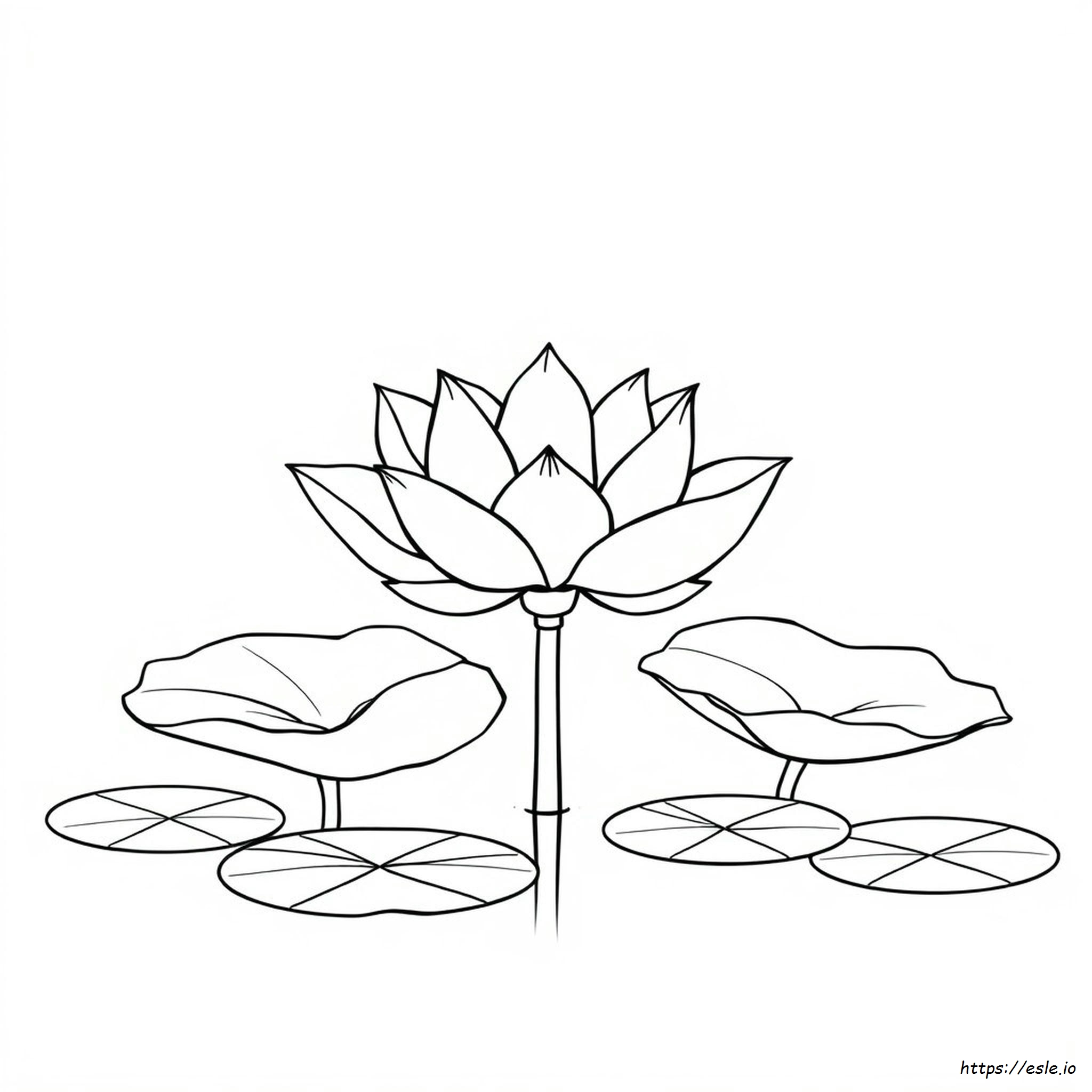 Colouring Image Of Lotus