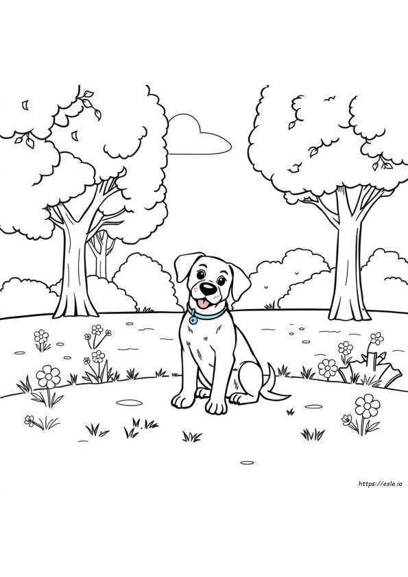 Free Coloring Pictures Of Dogs