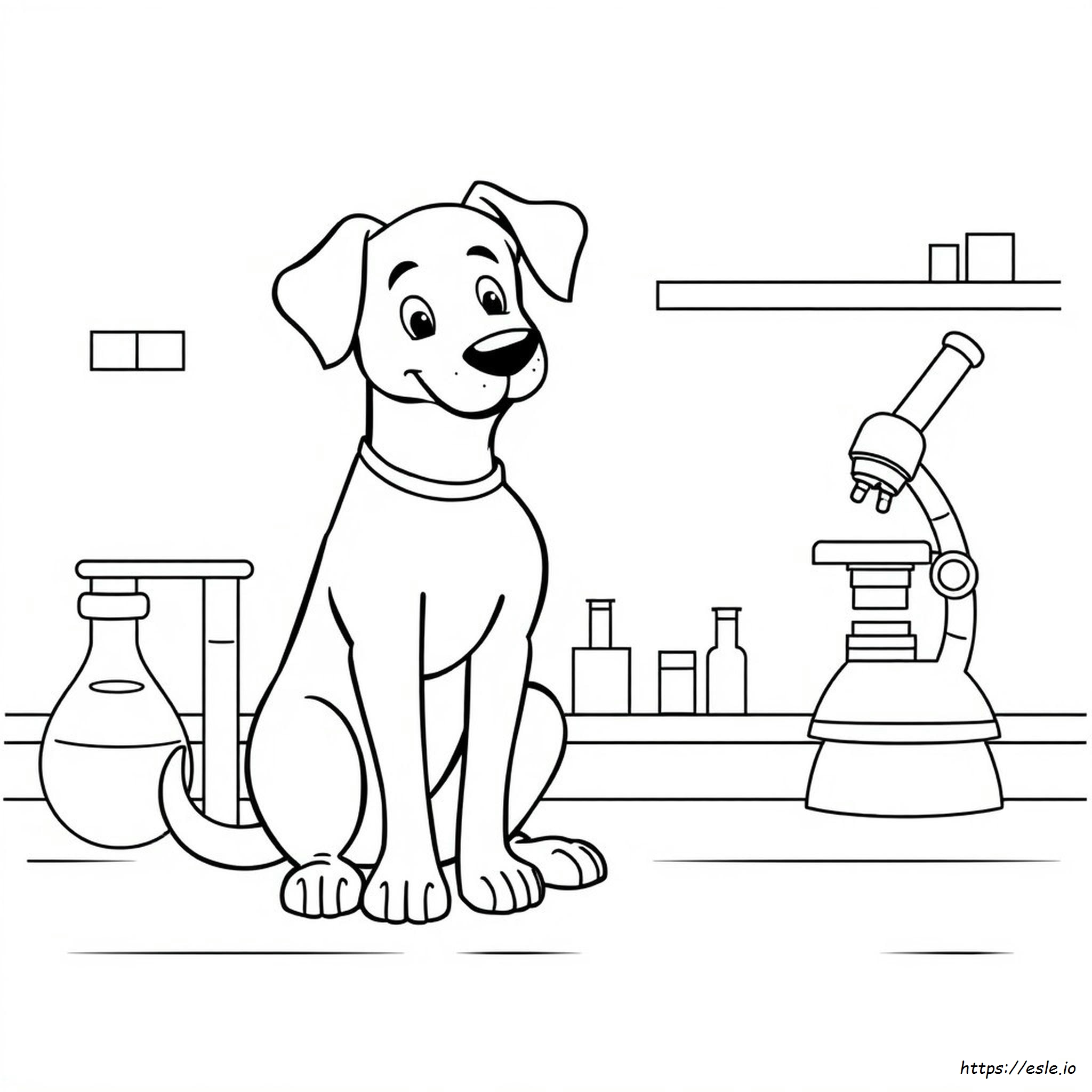 Lab Dog Coloring Pages