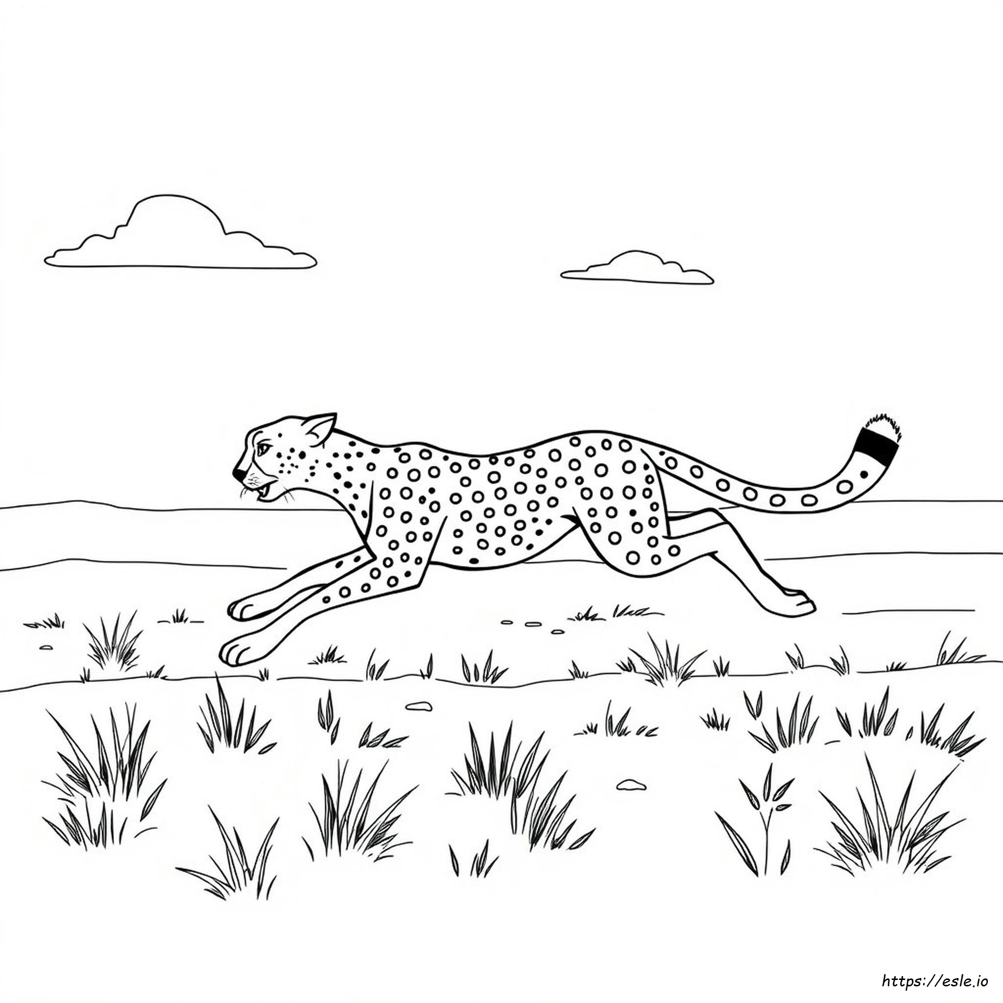 Cheetah Running Coloring Pages