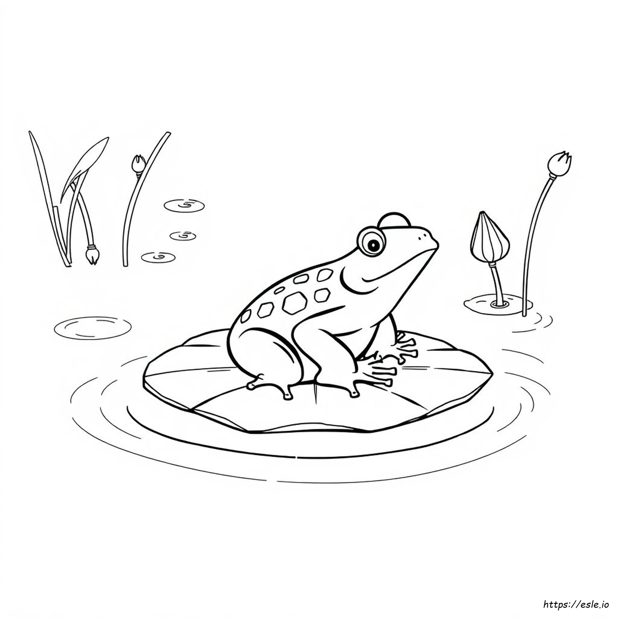 Amphibians Coloring Pages Printable