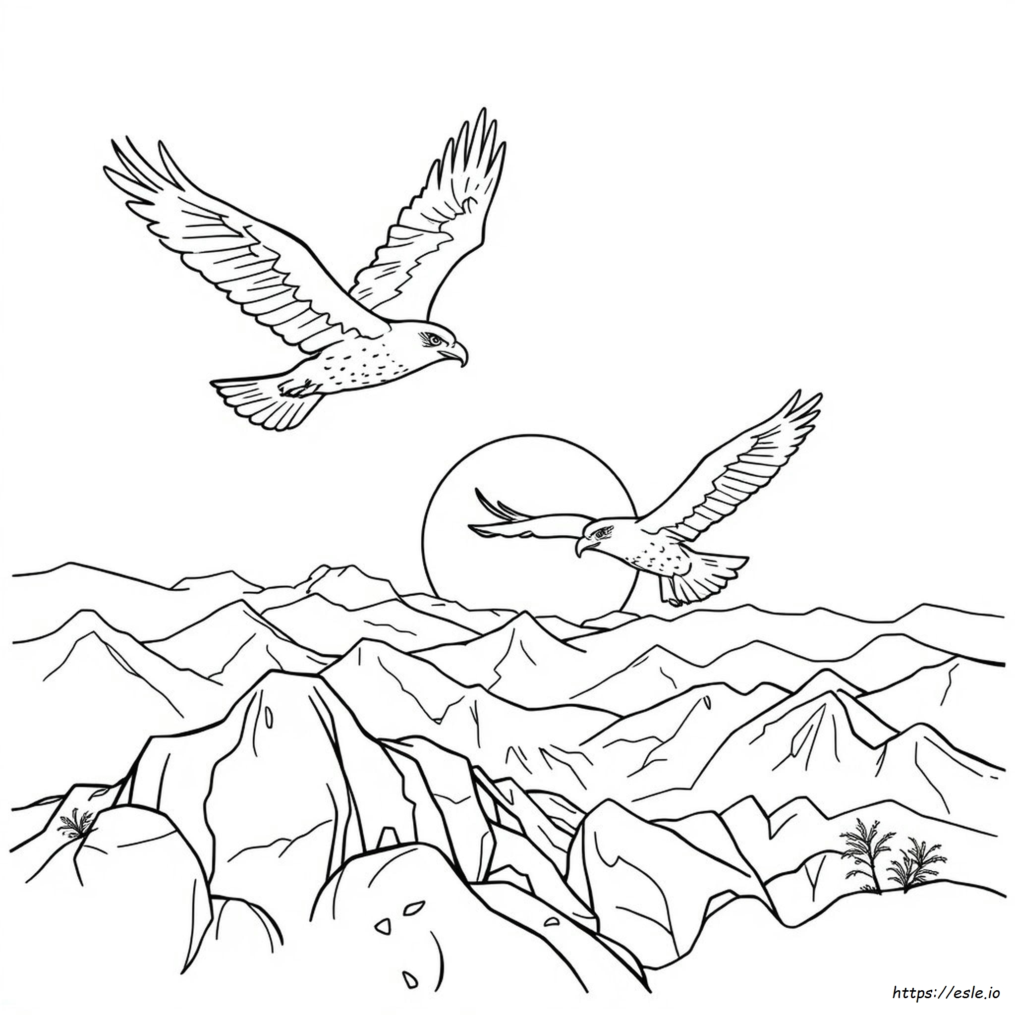 Eagle Head Coloring Page