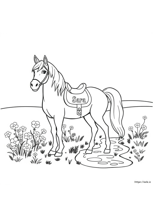 Bella Sara Horse Coloring Pages