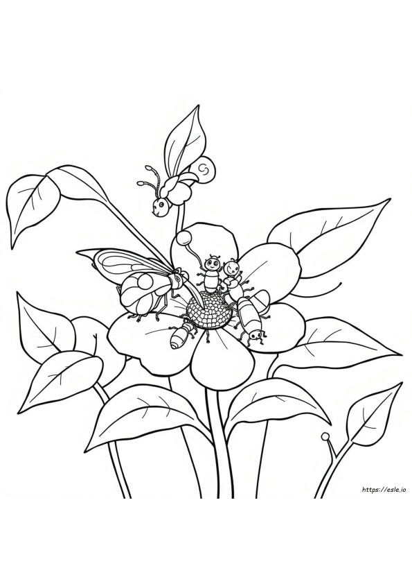 Disegni Di Insetti Da Colorare Per La Scuola Materna