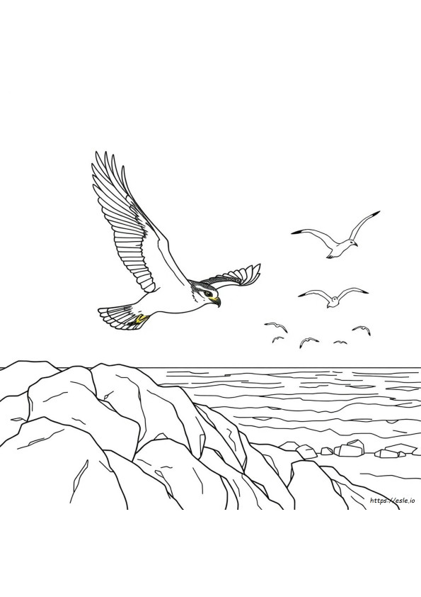 Halcón Peregrino Para Colorear