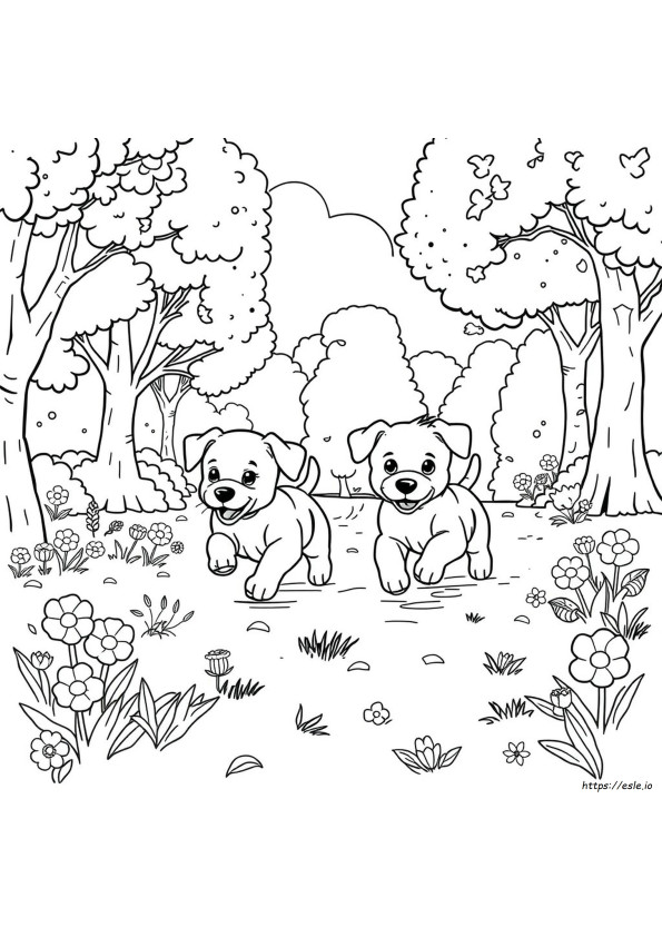 Coloring Chase
