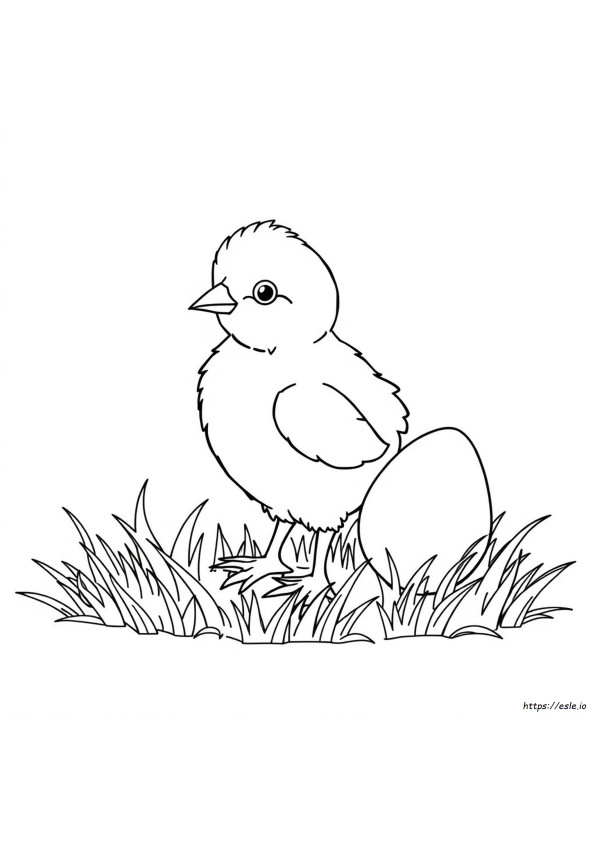 ひよこのぬりえ