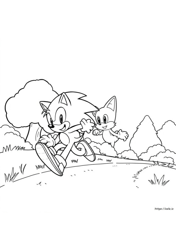 Sonic And Tails Coloring Sheets