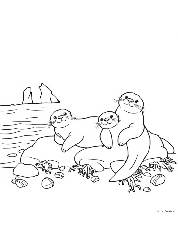 Nutria Marina Para Colorear