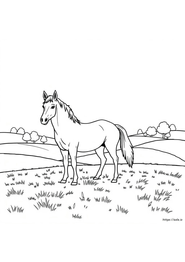 Disegni Di Cavalli Da Colorare Gratis