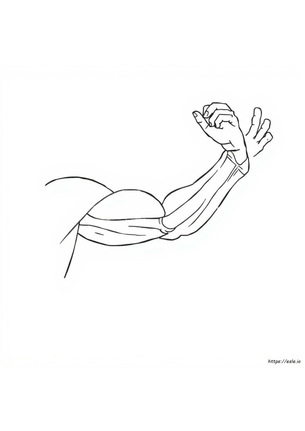 Anatomy And Physiology Coloring Workbook Page 168 Answers