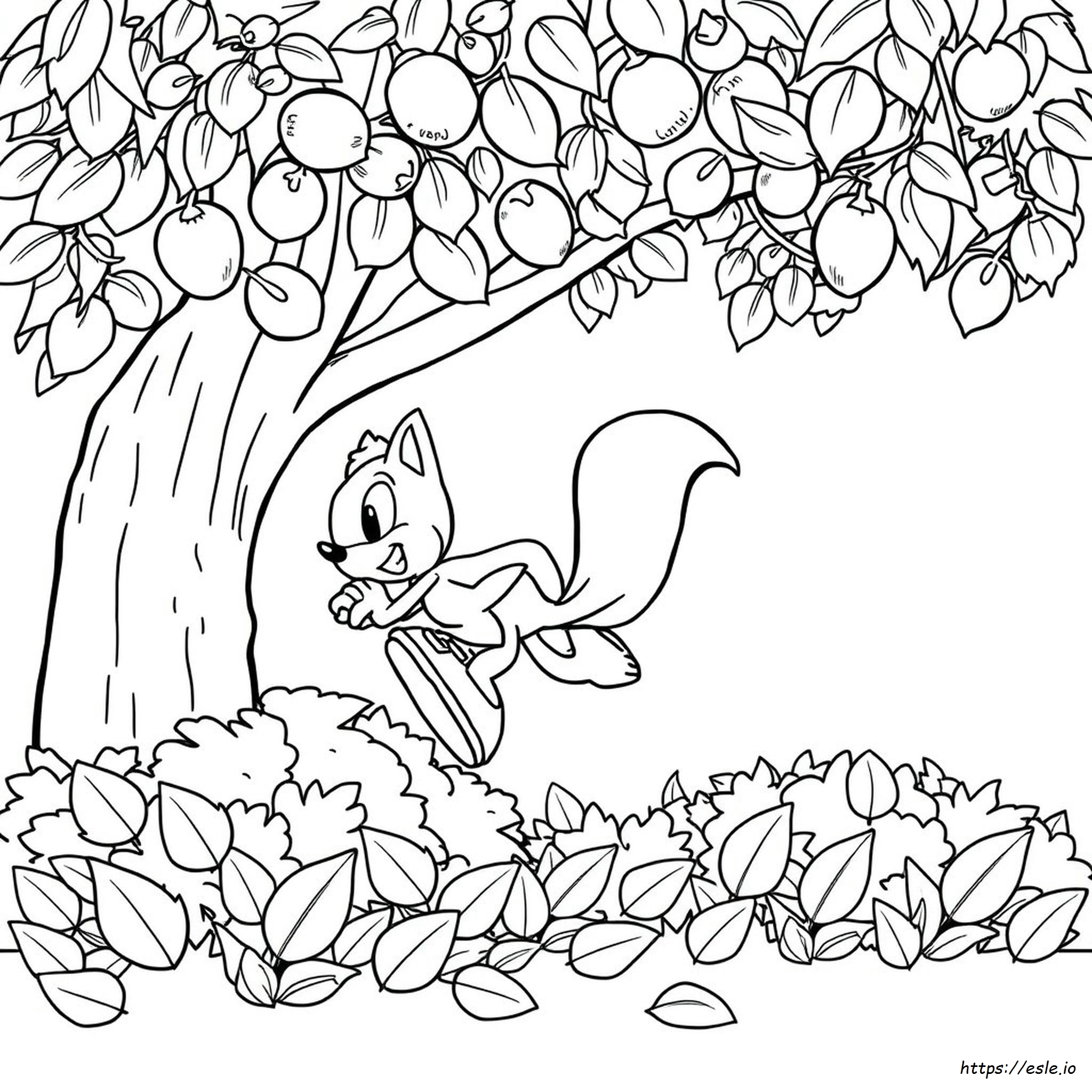 Gambar Sonic Untuk Mewarnai