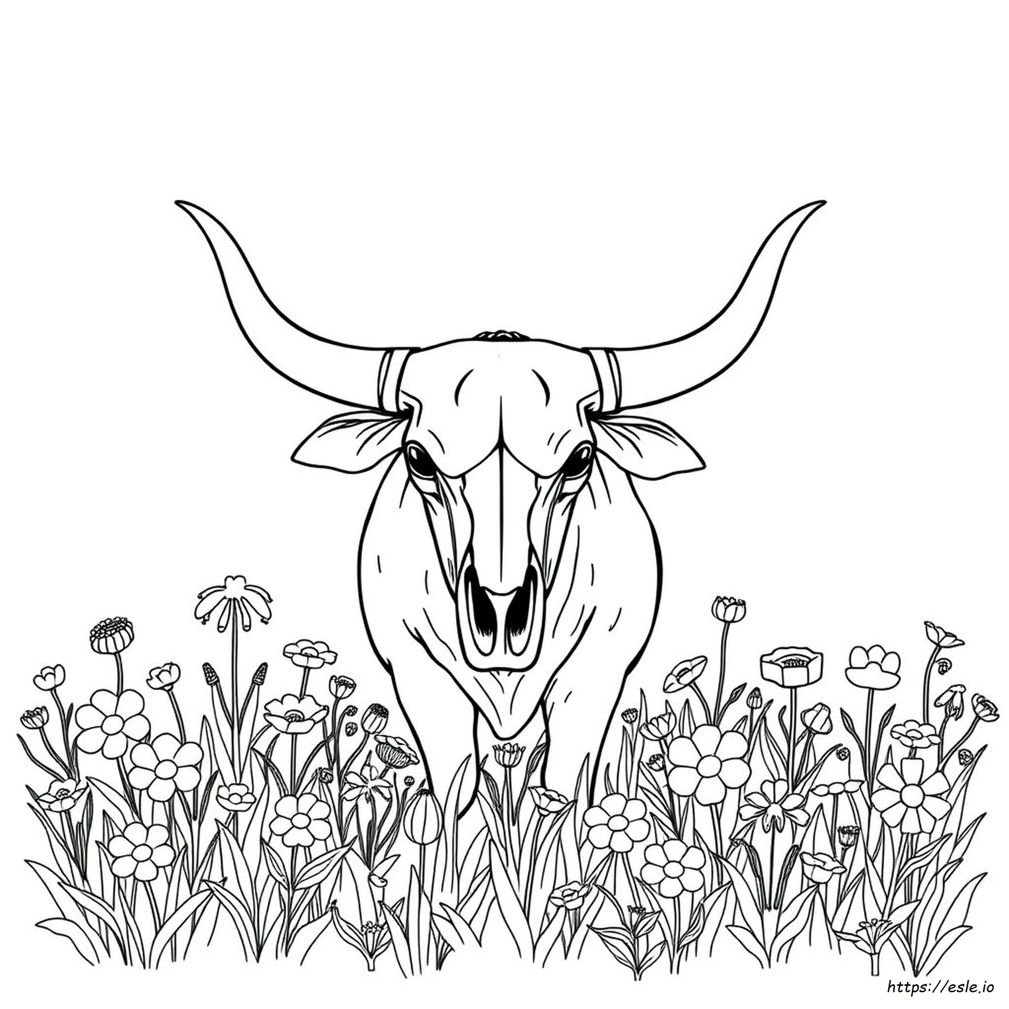 Bull Skull Coloring Pages