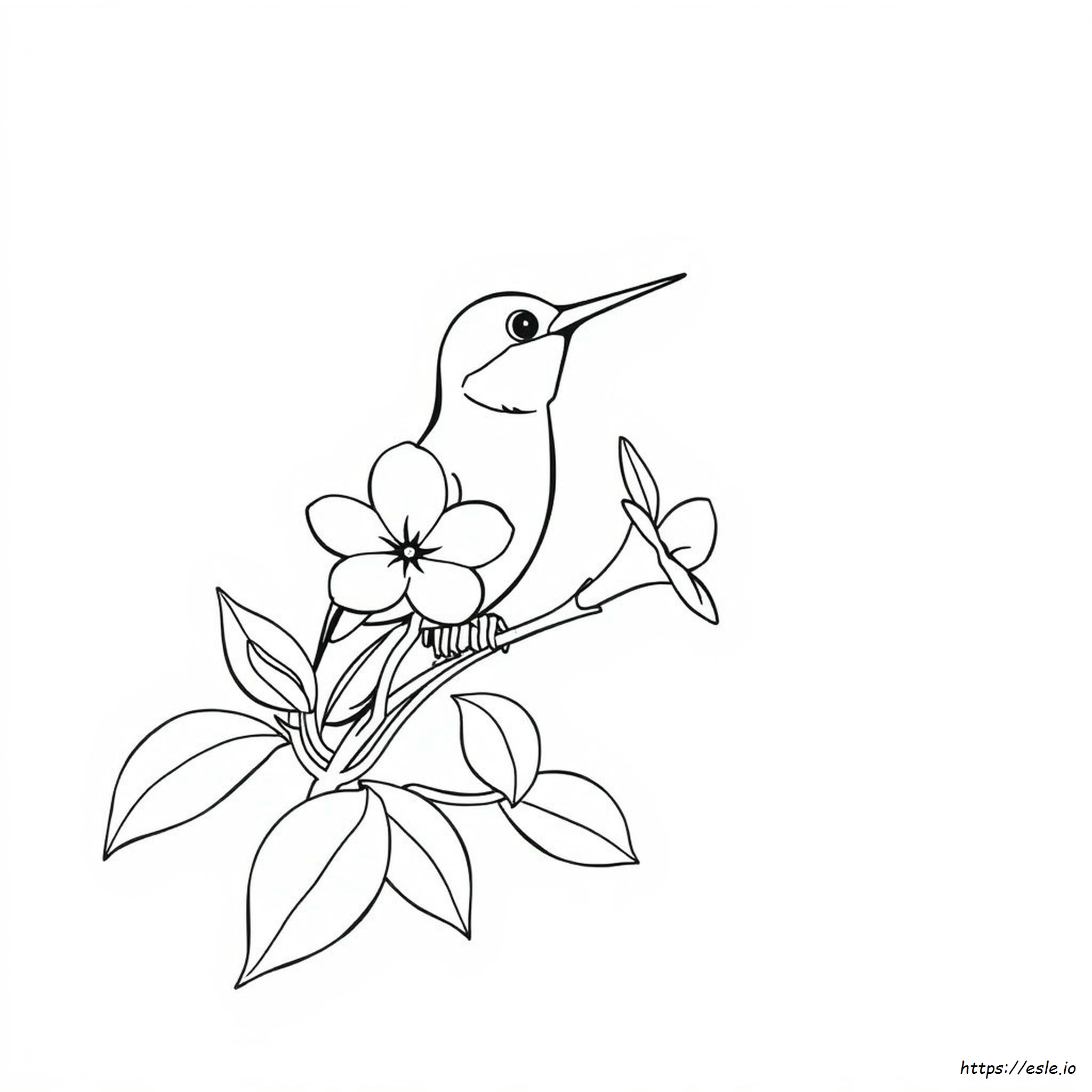 Coloring Page Of A Hummingbird