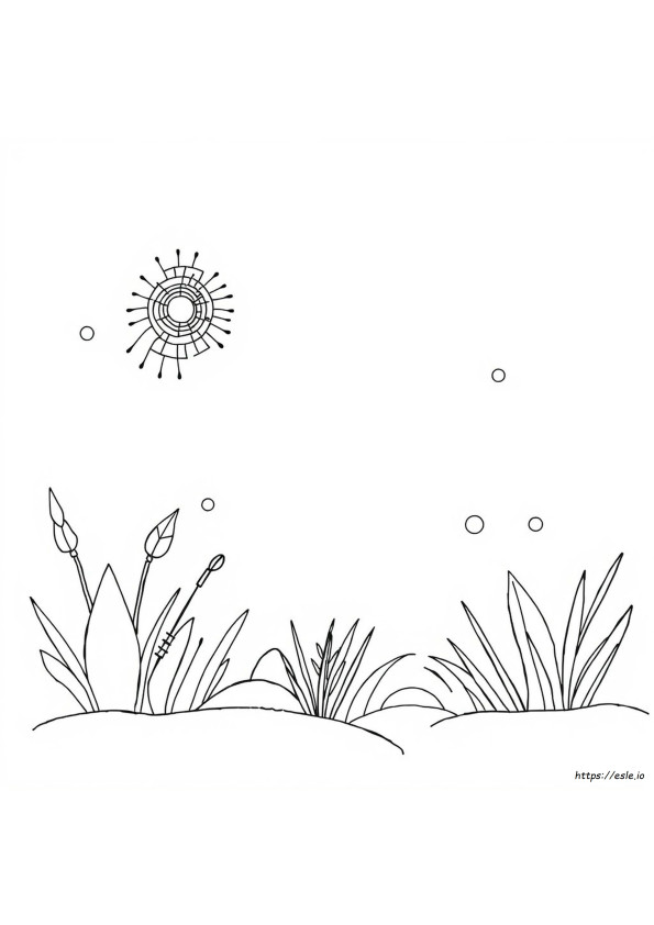 Zentangle Kleurplaten