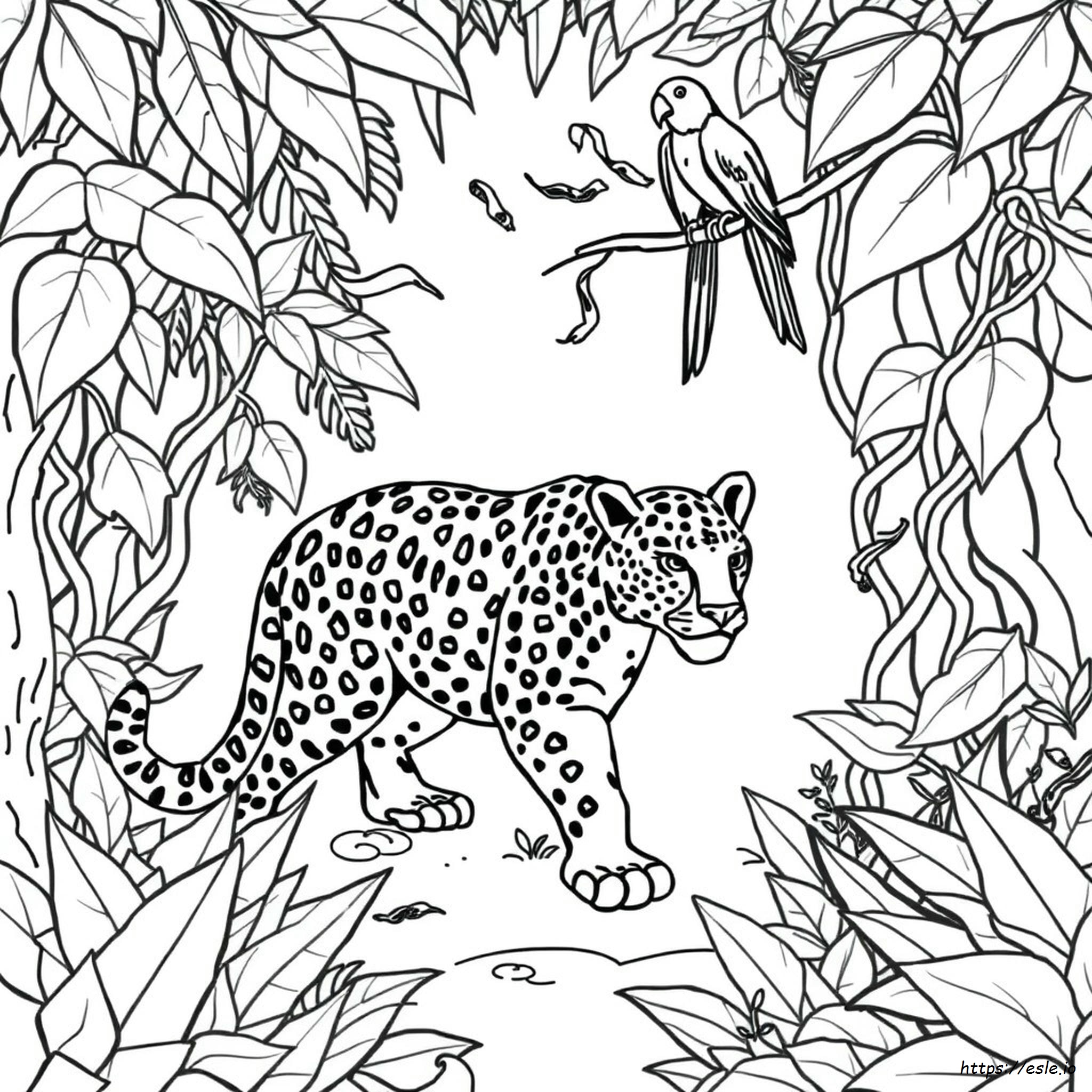 Rainforest Animals Coloring Pages