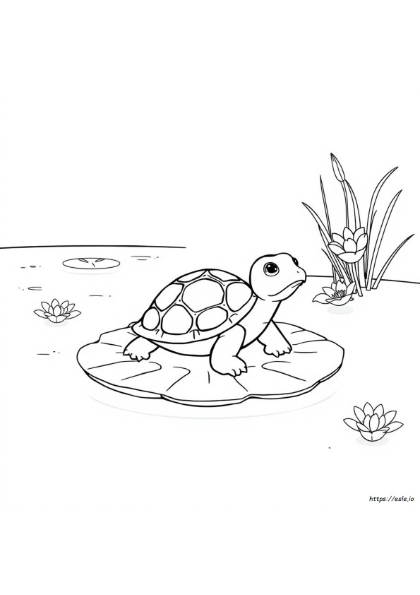 Linda Tortuga Para Colorear