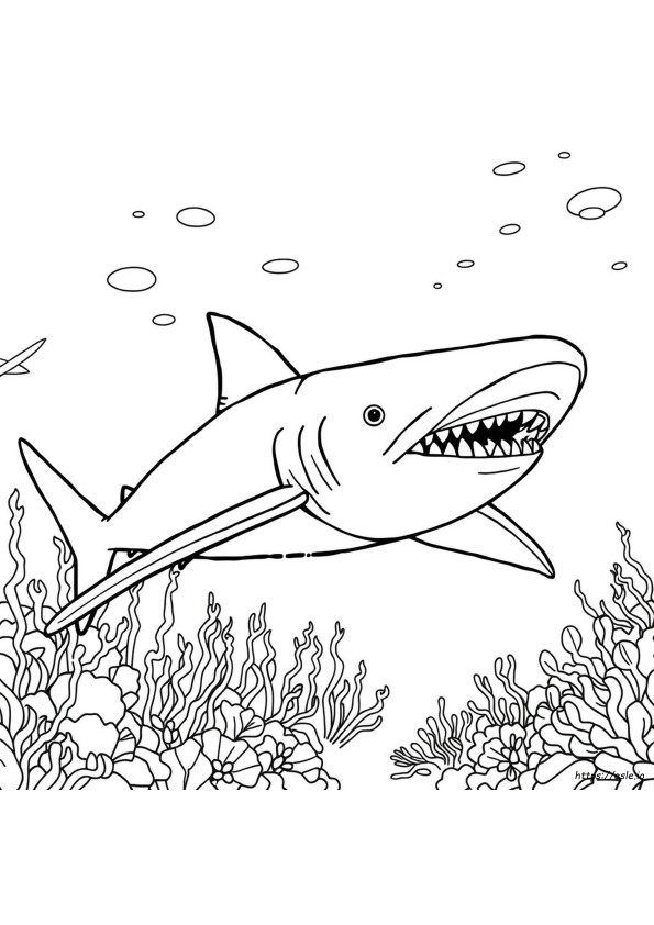 Megalodon Para Colorir