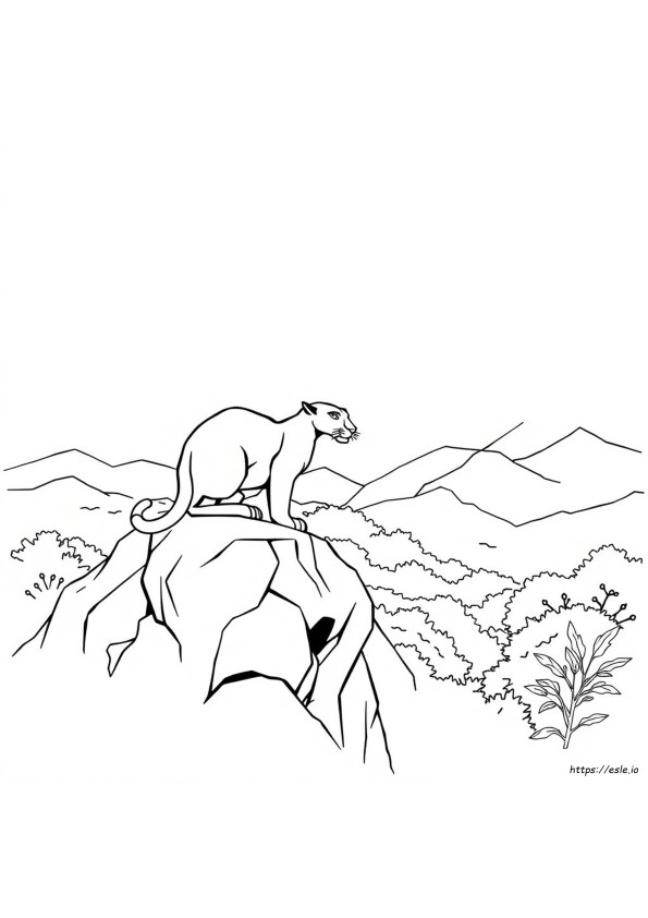 Gambar Mewarnai Panther Untuk Dicetak