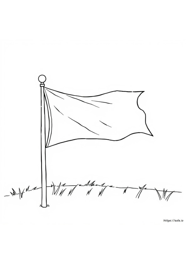 Flag Coloring Activity