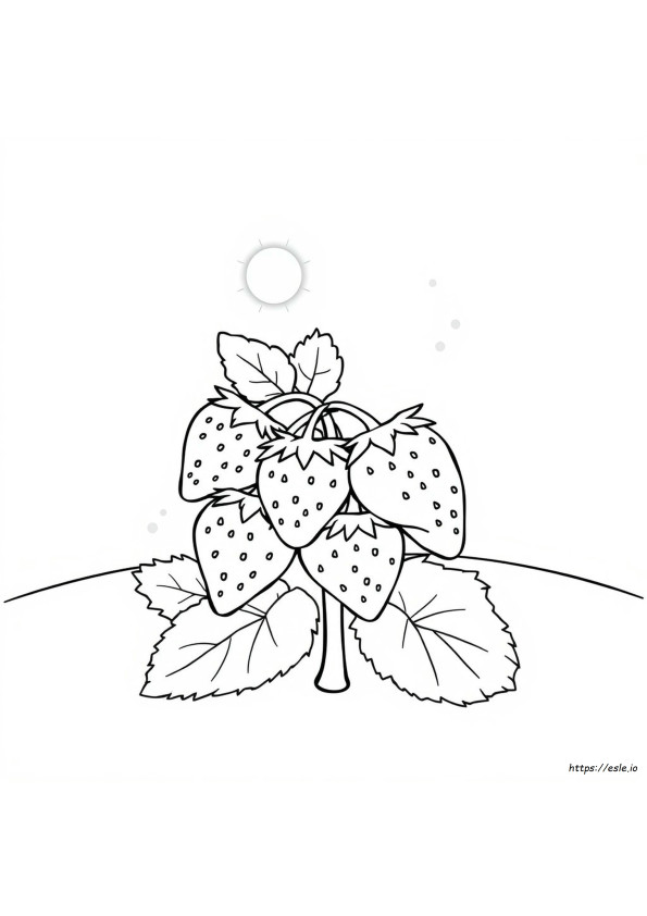 Căpșună De Desene Animate De Colorat