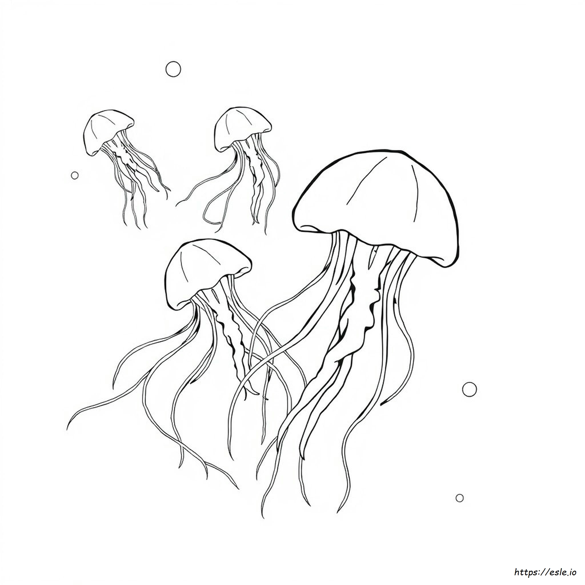 Printable Realistic Jellyfish Coloring Page