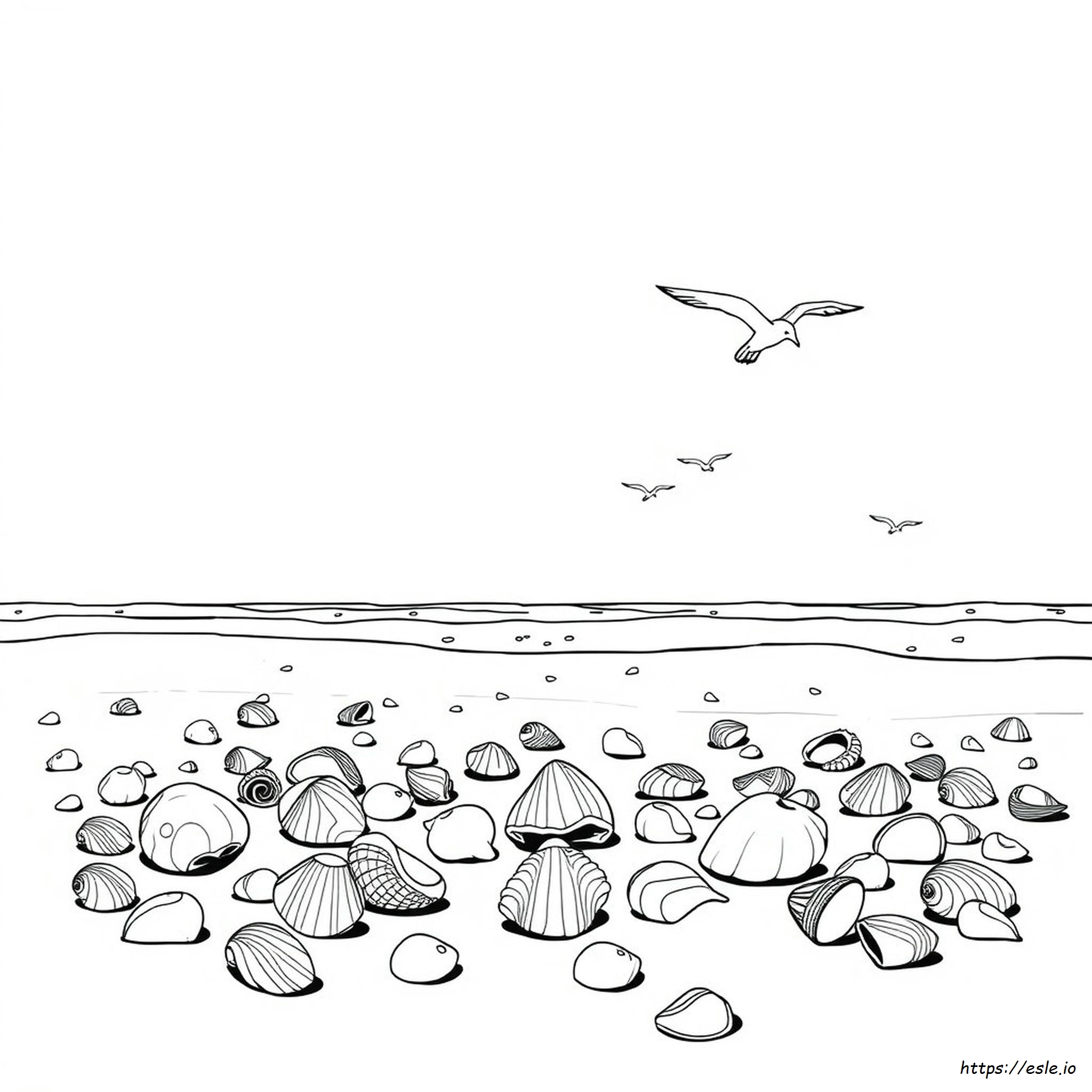 Coloring Pages Of Seashells
