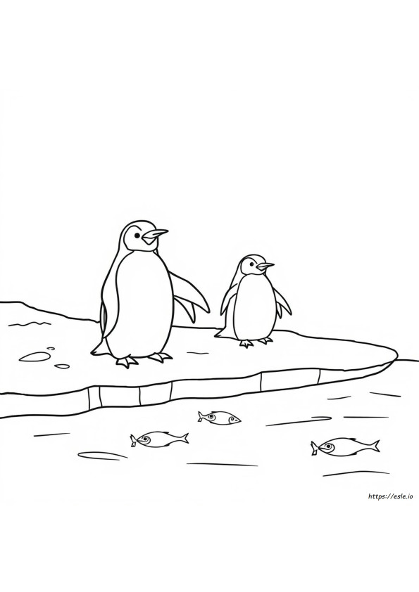 Pinguïn Kleurplaten